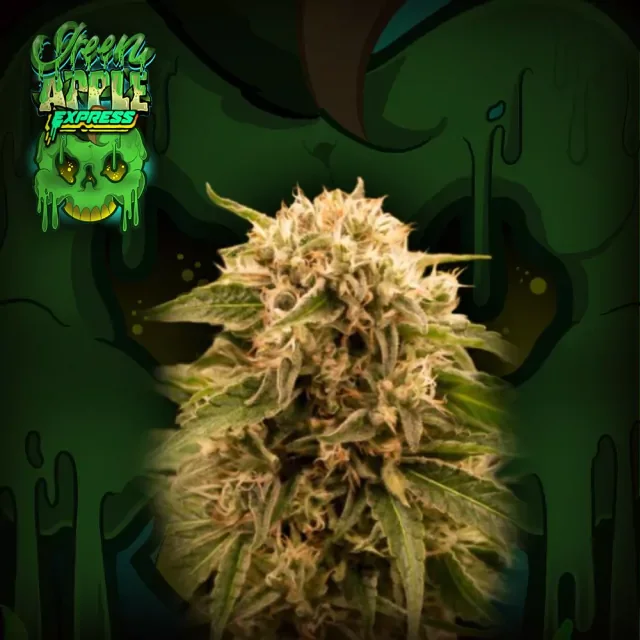 Green Apple Express