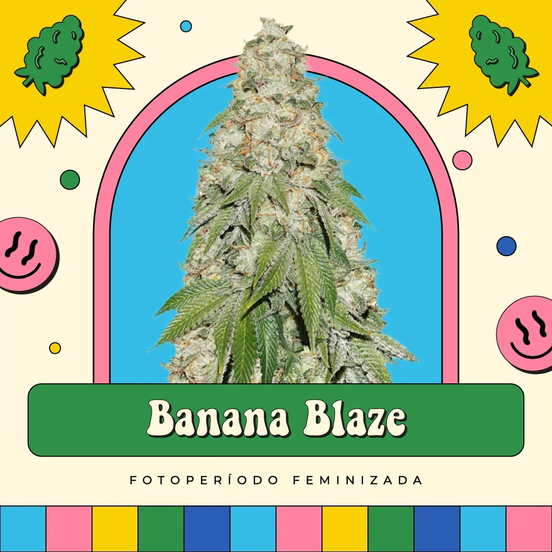 Banana Blaze