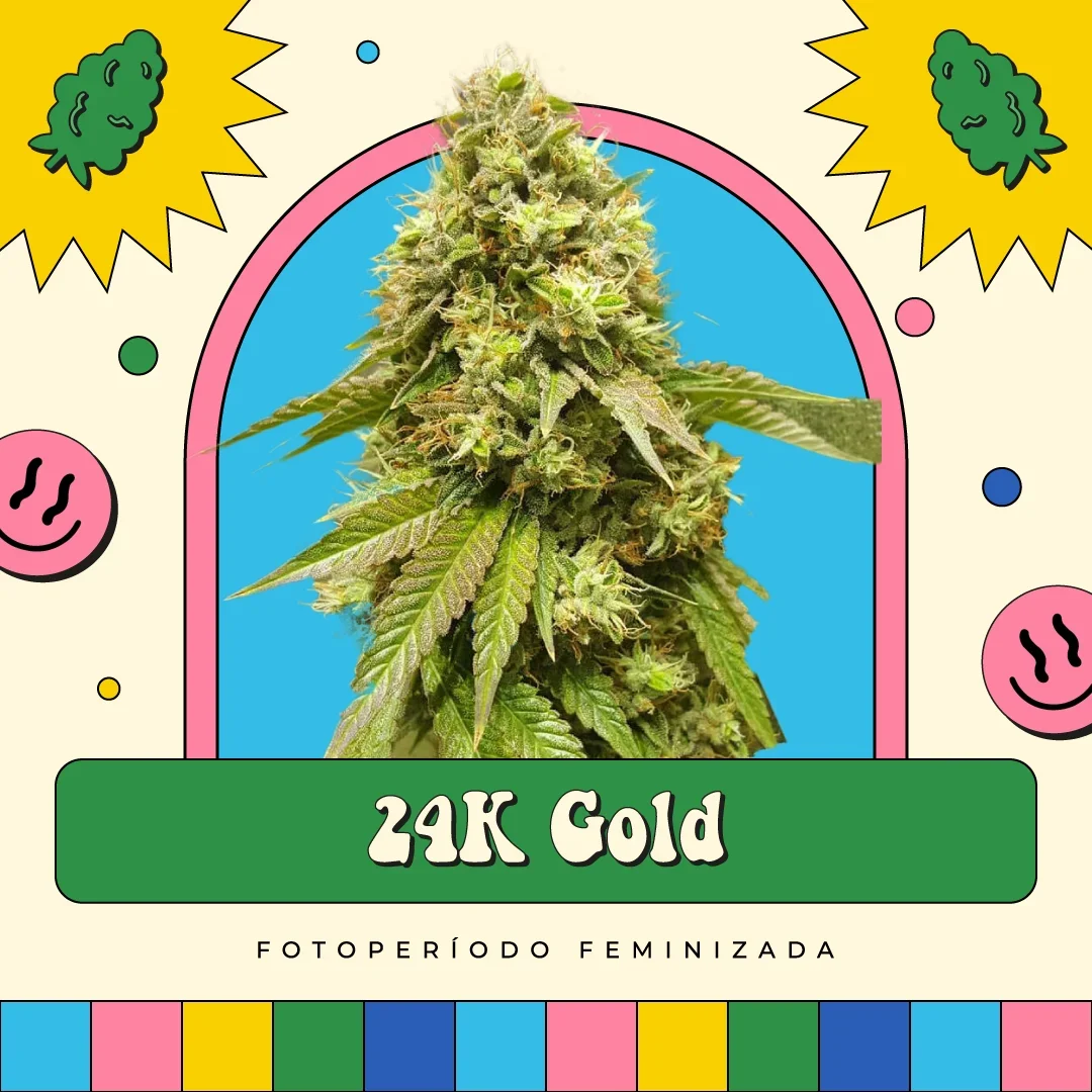 24K Gold 3