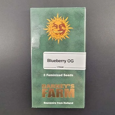 Blueberry Og