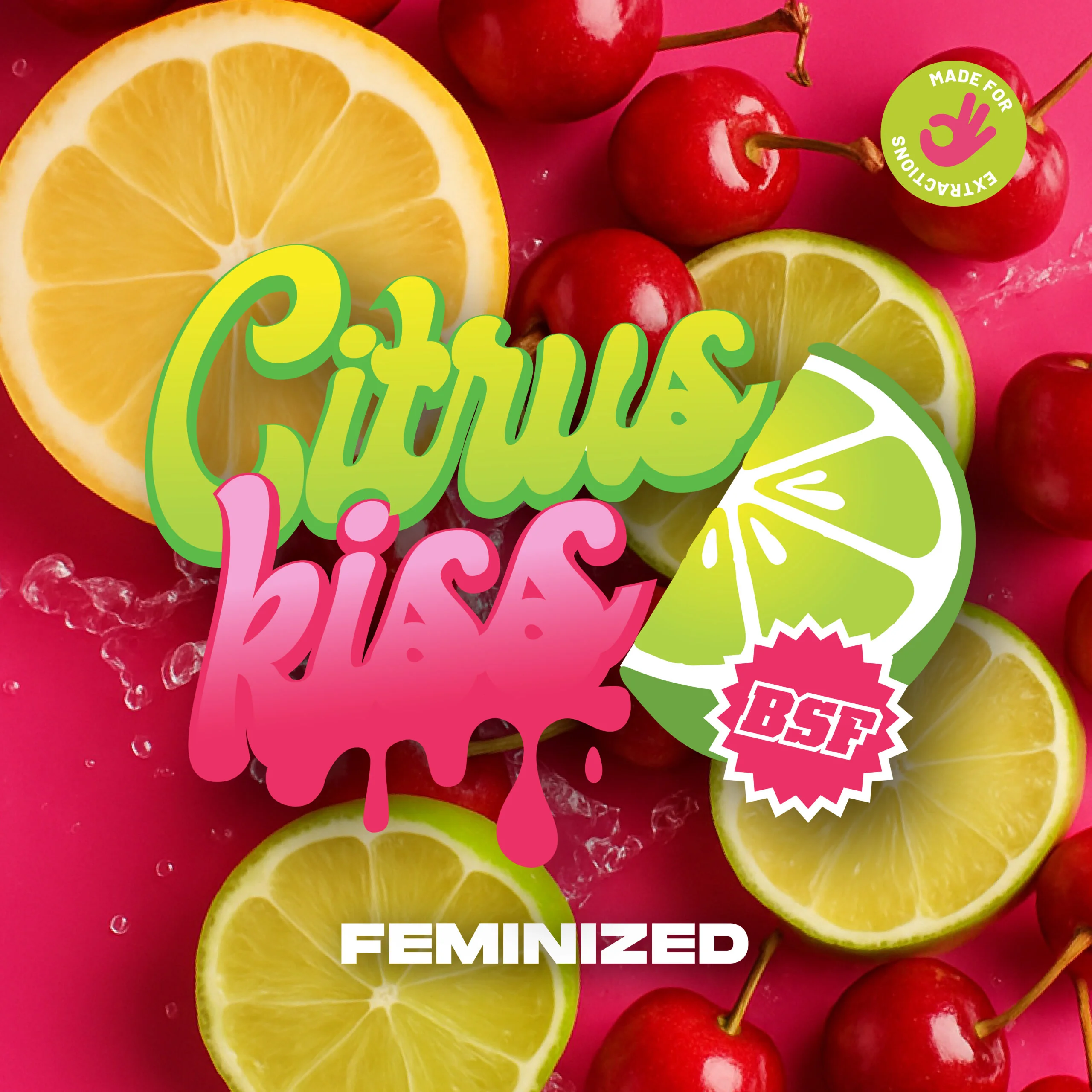 Citrus Kiss 2