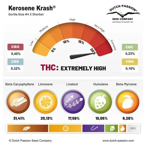Kerosene Krash 2