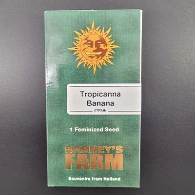 Tropicanna Banana 5