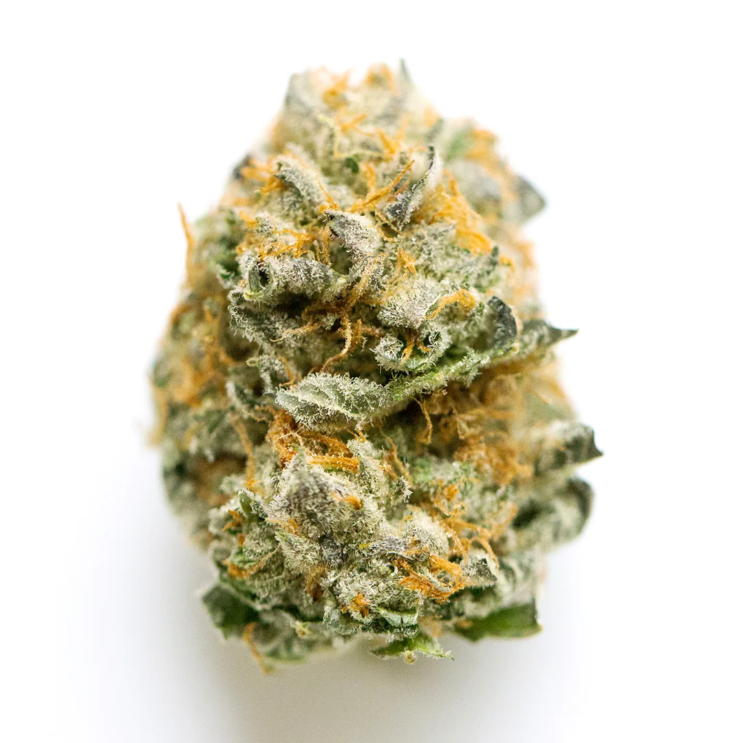Pink Guava 2
