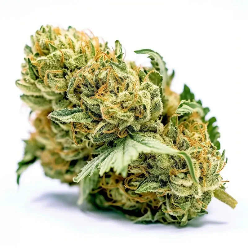 Pineapple Chunk 2