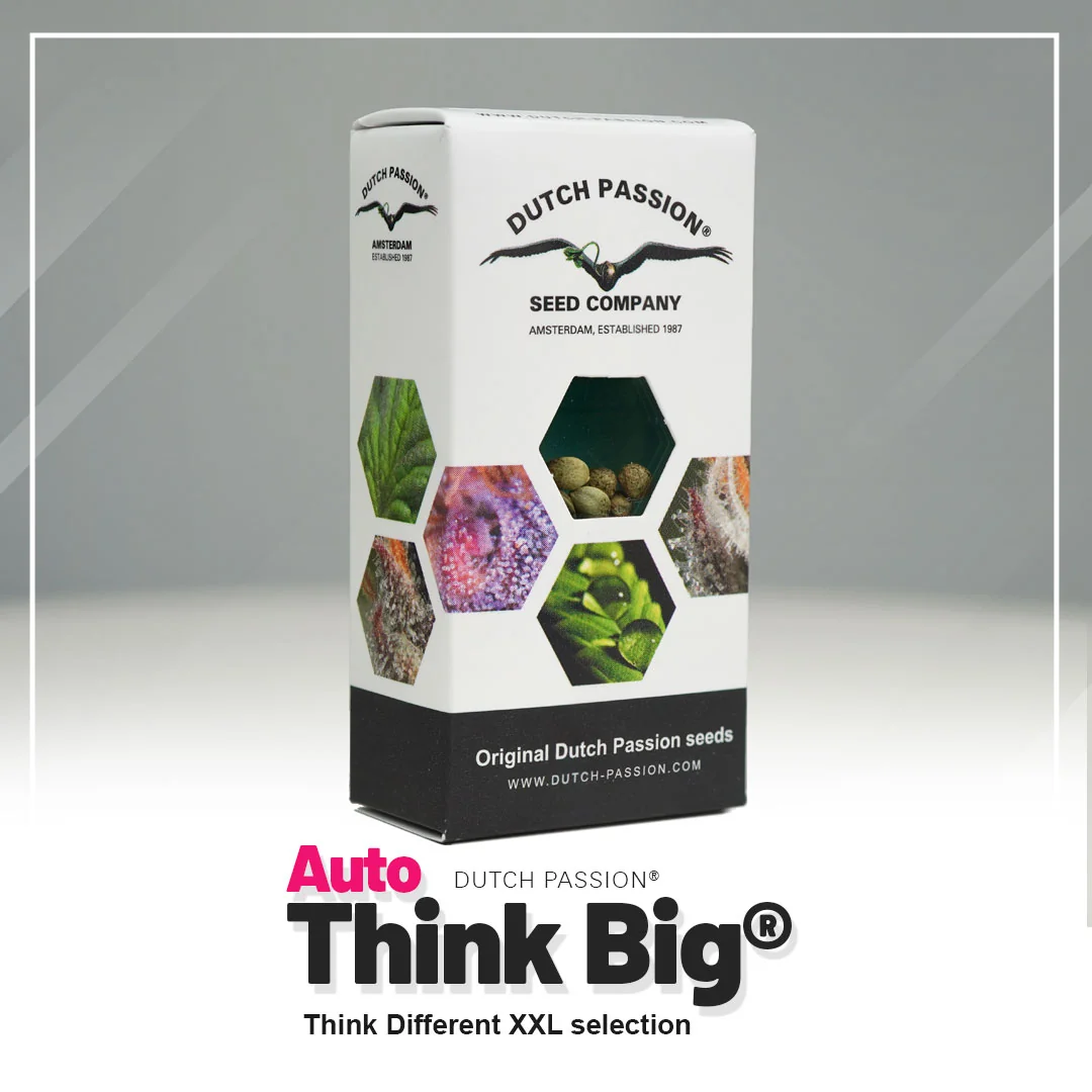 Think Big