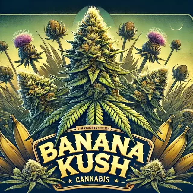 Banana Kush