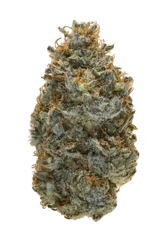 Melon Og 3