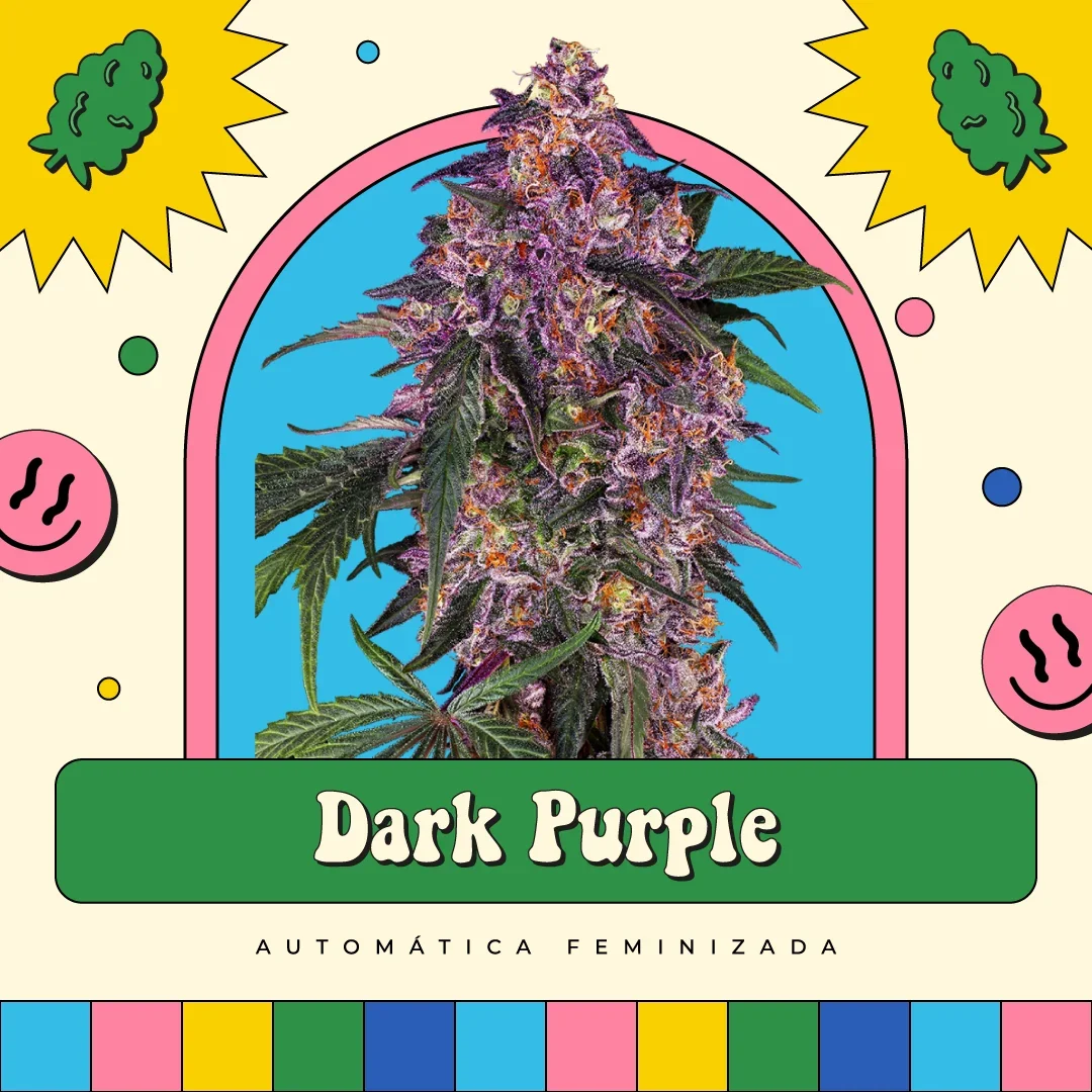 Dark Purple