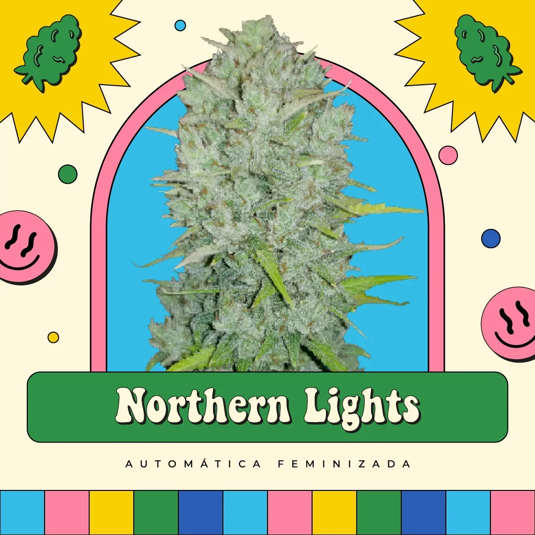 Northern Lights