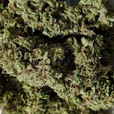 Papaya Sherbet 2