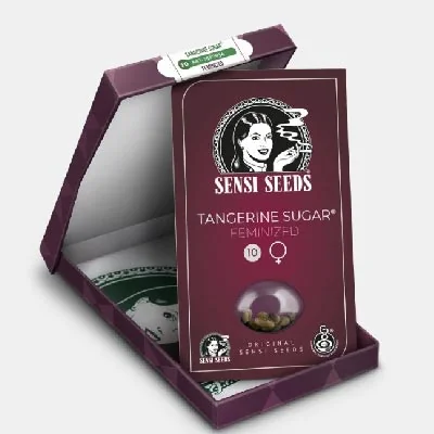 Tangerine Sugar 2