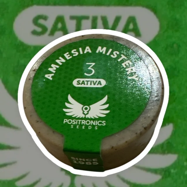 Amnesia Mistery 3