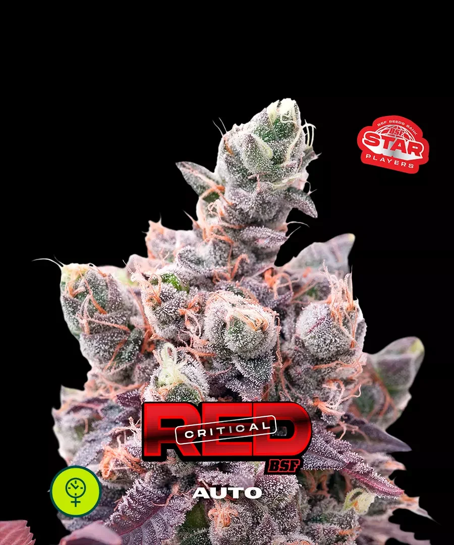 Red Critical
