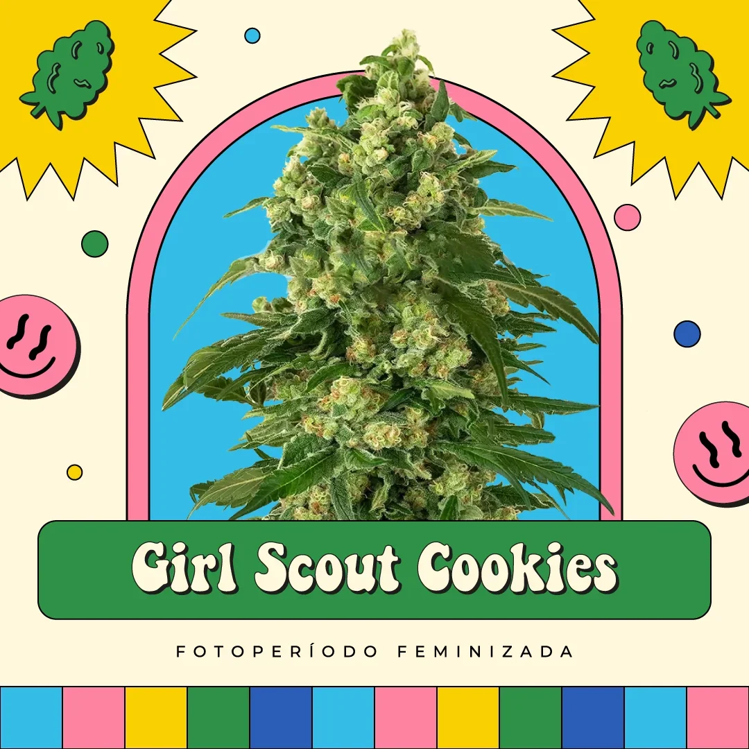Girl Scout Cookies