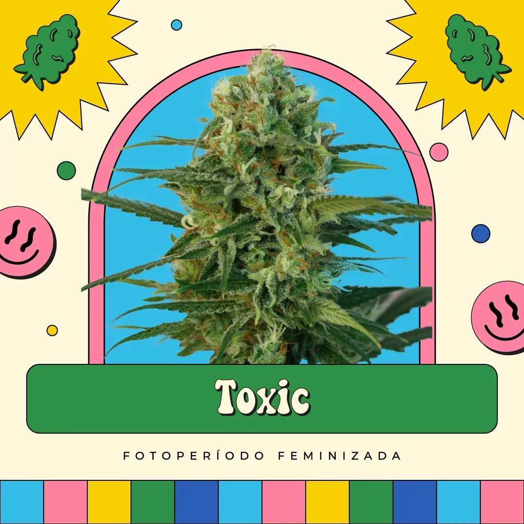 Toxic