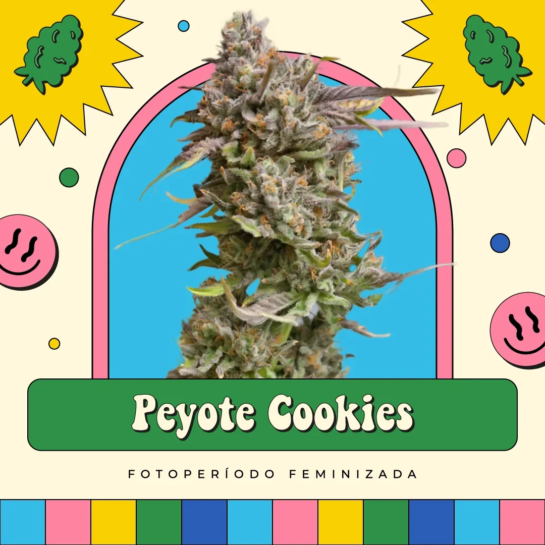 Peyote Cookies