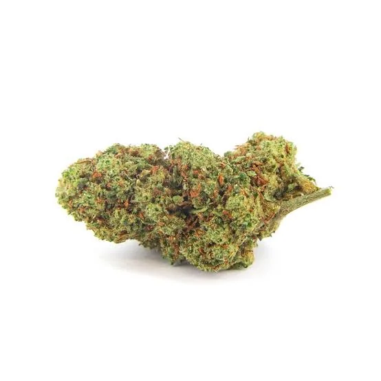 Wasabi 2
