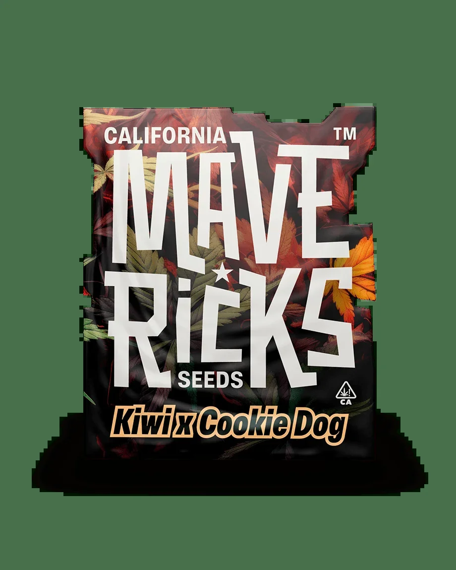 Kiwi X Cookie Dog