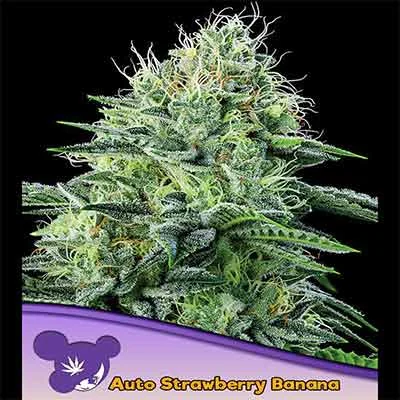 Strawberry Banana