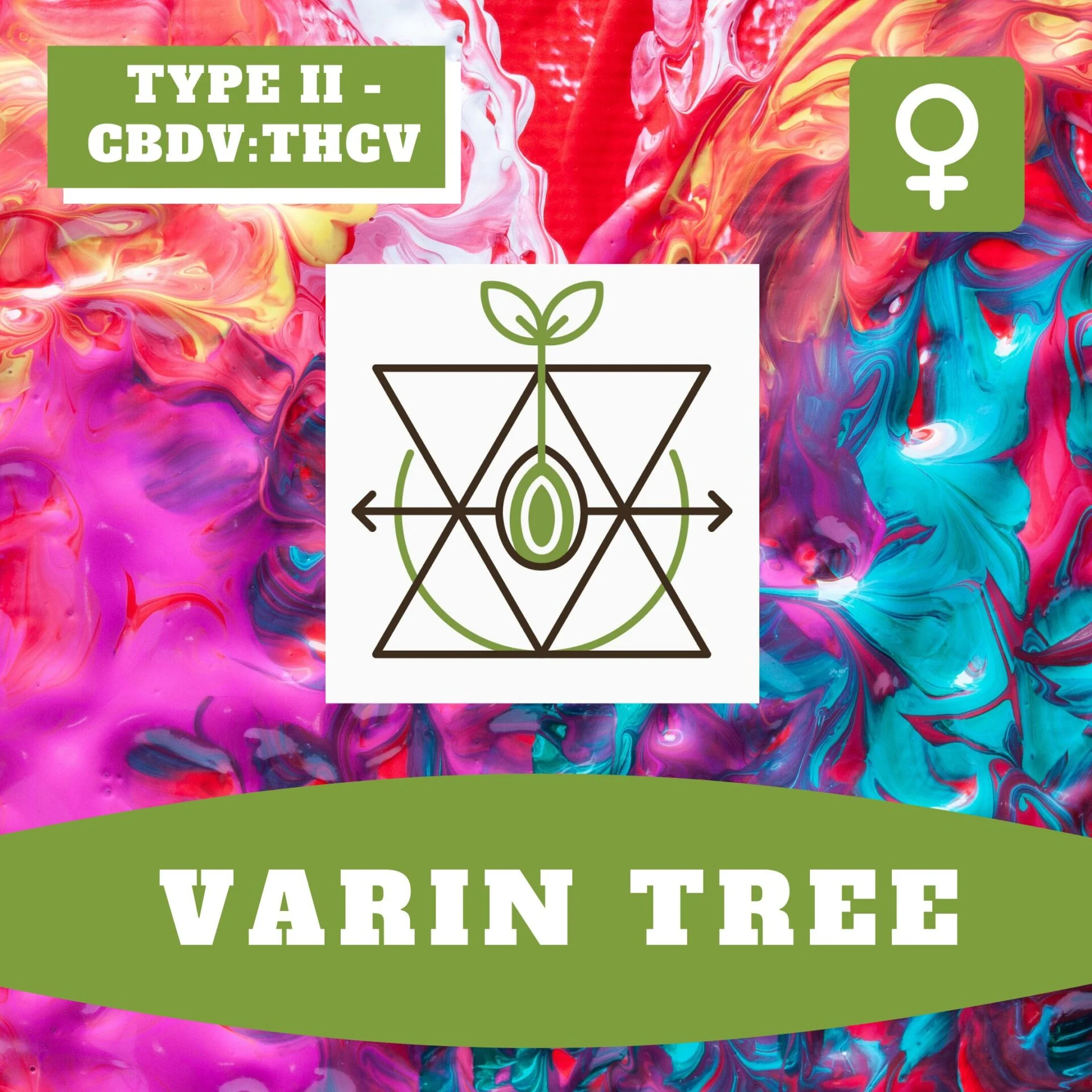 Varin Tree Thcv