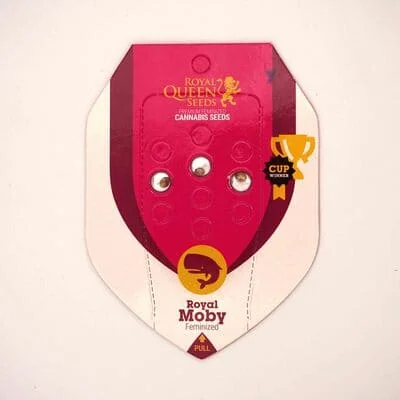 Royal Moby 5