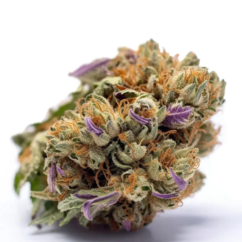 Zkittlez Autoflower