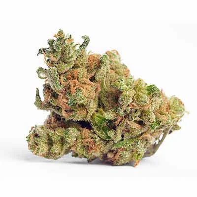 Sunset Sherbet 2