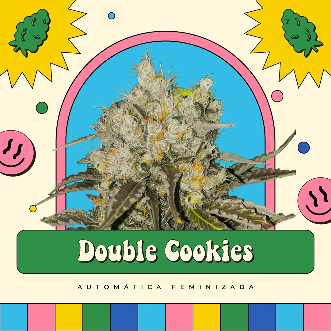 Double Cookies
