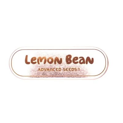 Lemon Bean 4