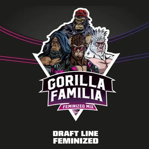 Gorilla Família Mix – Fot.feminizada – BSF