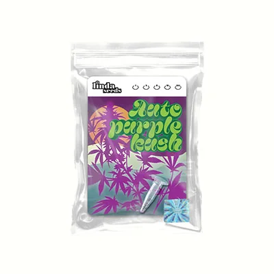 Purple Kush 4