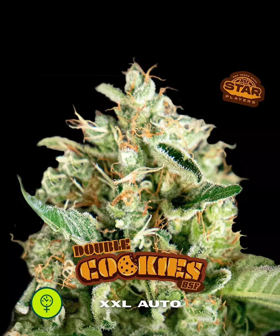 Double Cookies