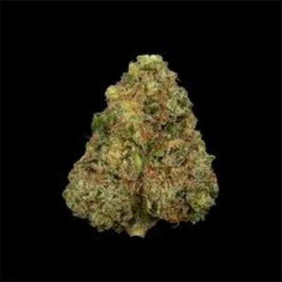 Cookie Casket 2