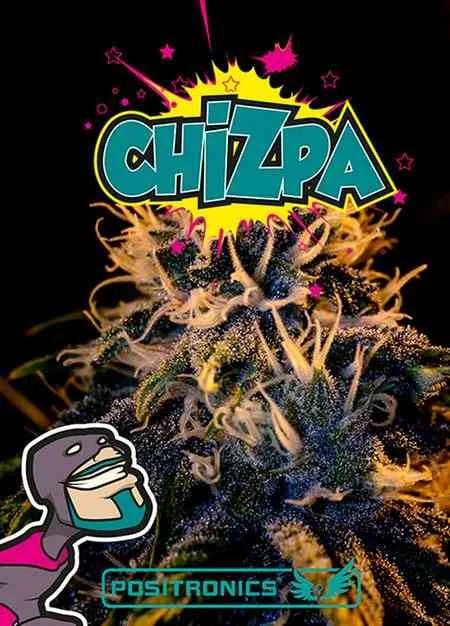 Chizpa 3