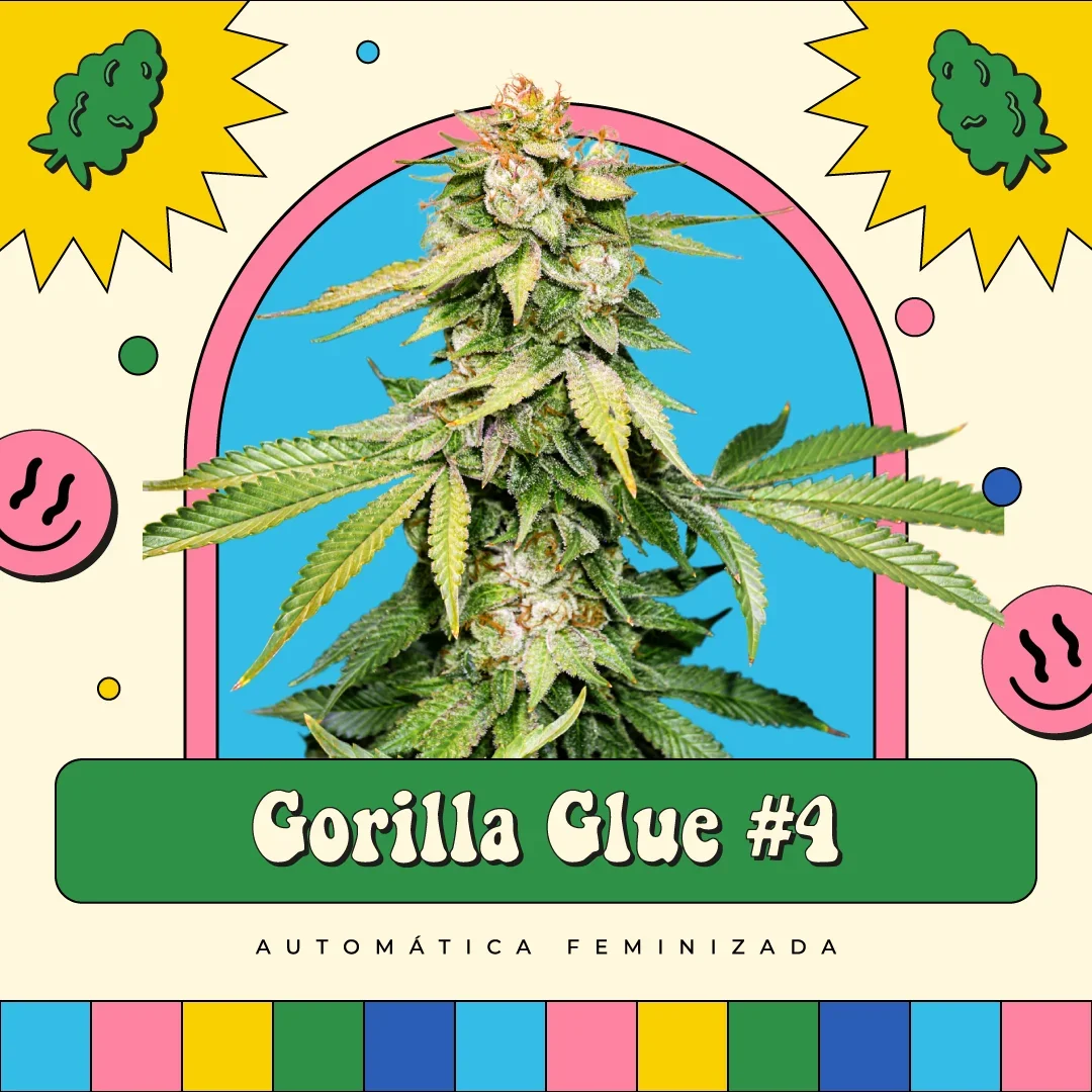 Gorilla Glue 4