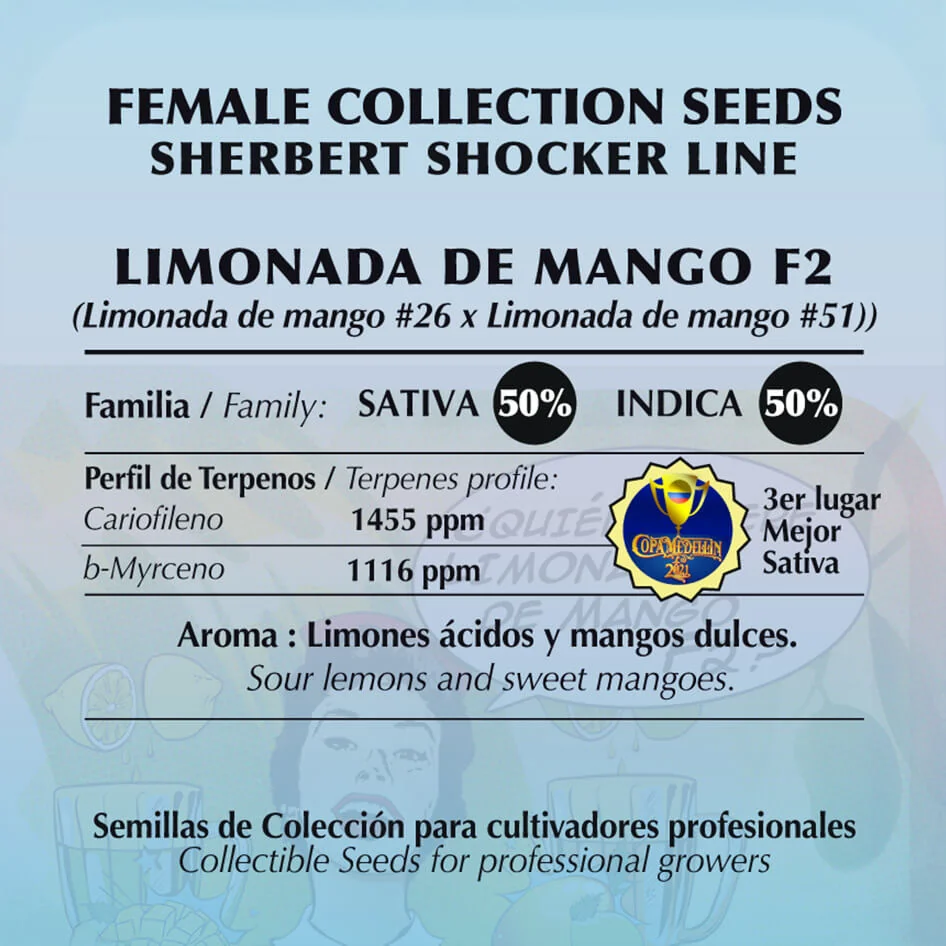 Limonada De Mango 2