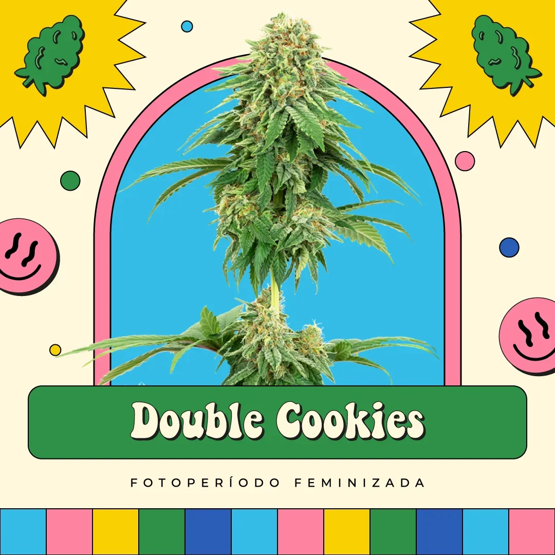 Double Cookies 3