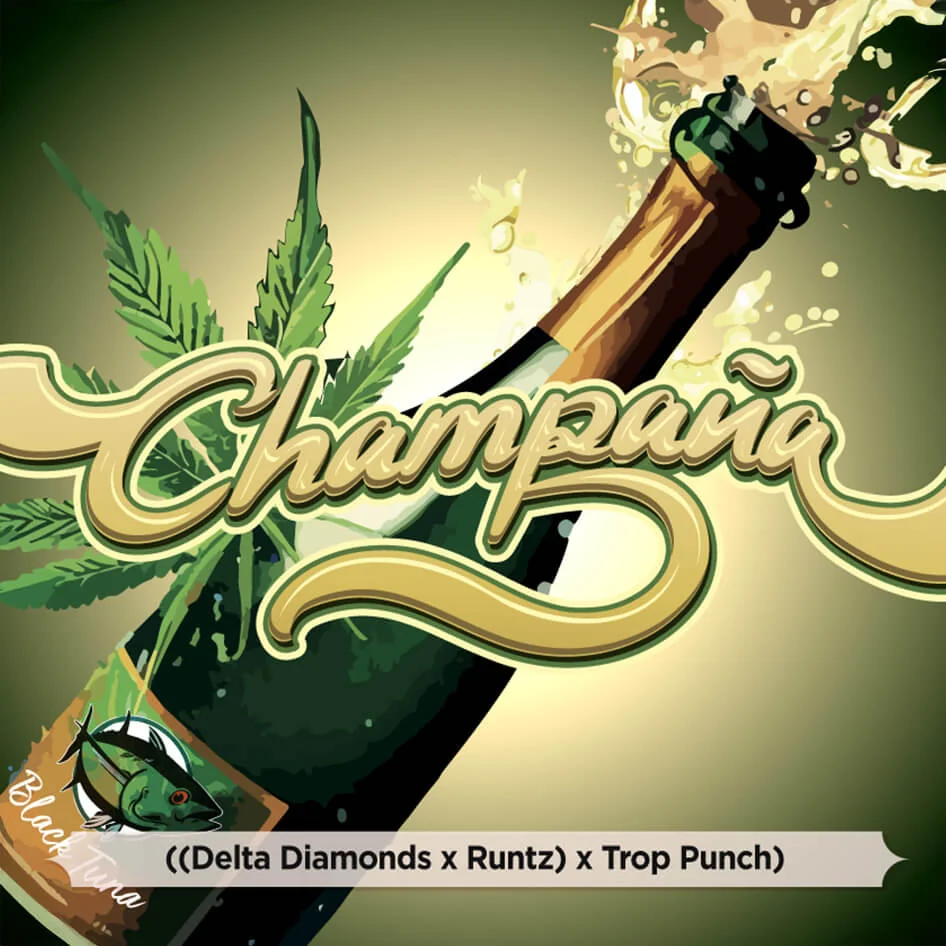 Champana