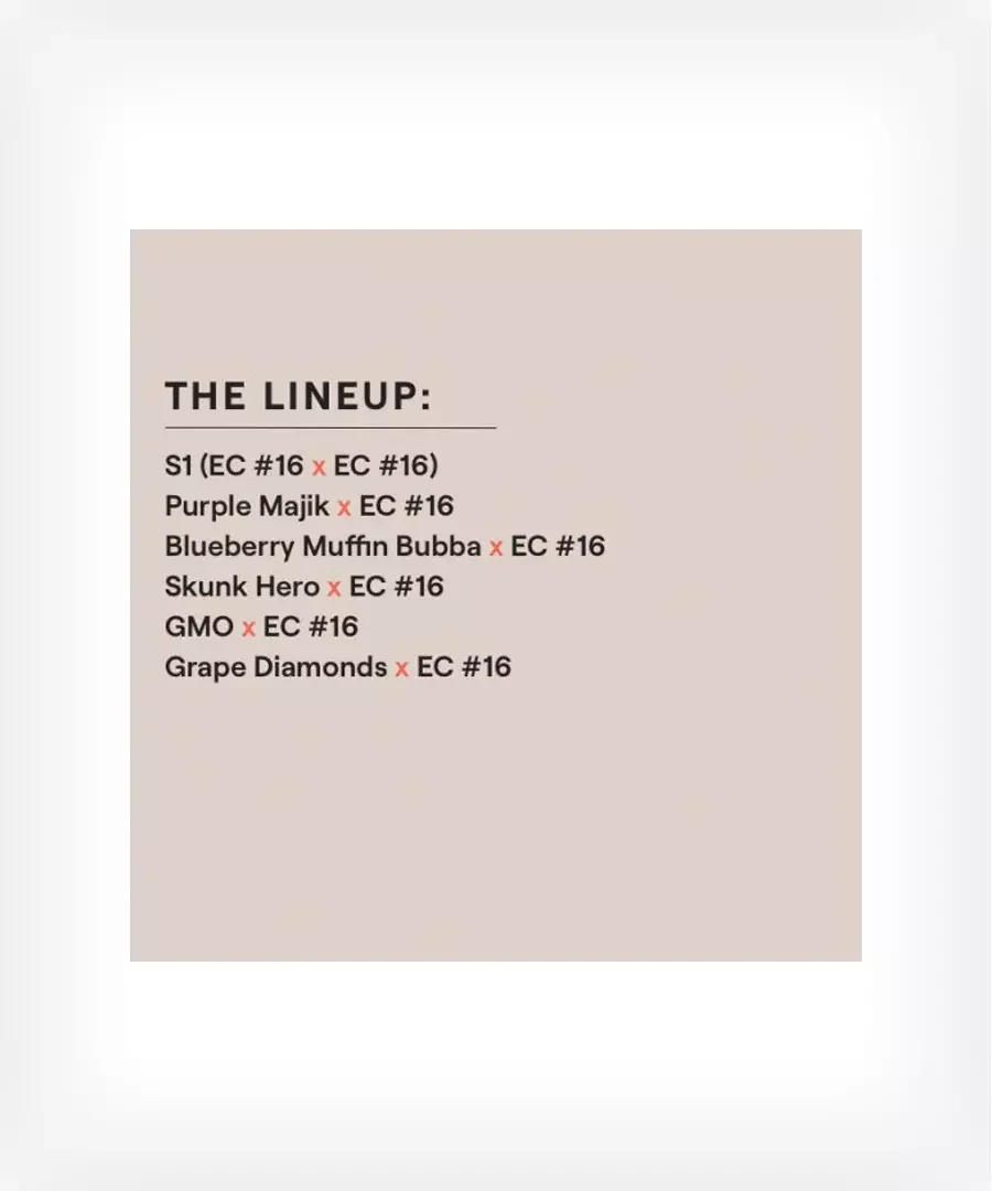 Ec 16 Multipack 2