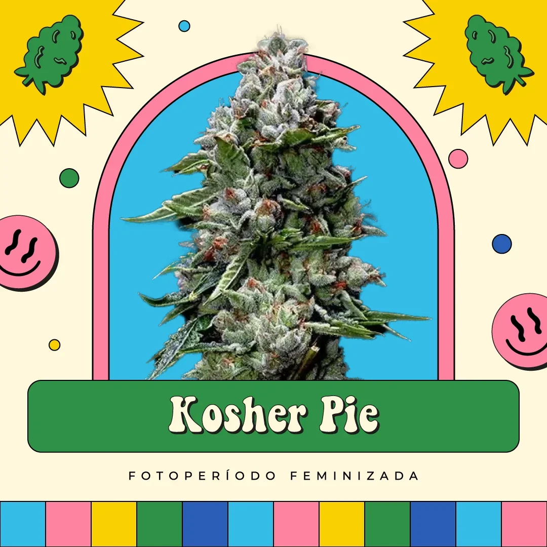 Kosher Pie