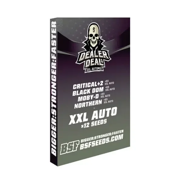 Dealer Deal Xxl Mix Bsf Com