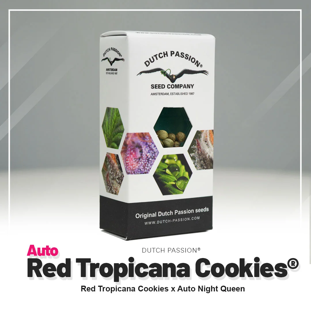 Tropicana Cookies