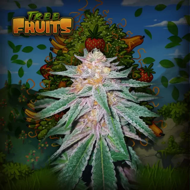 Tree Fruits
