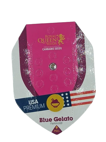 Blue Gelato 3