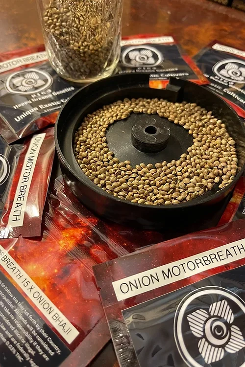 Onion Motorbreath 4