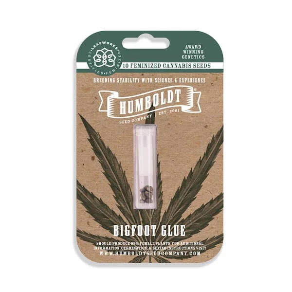Bigfoot Glue