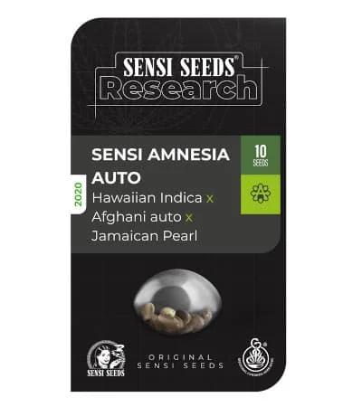 Sensi Amnesia 2