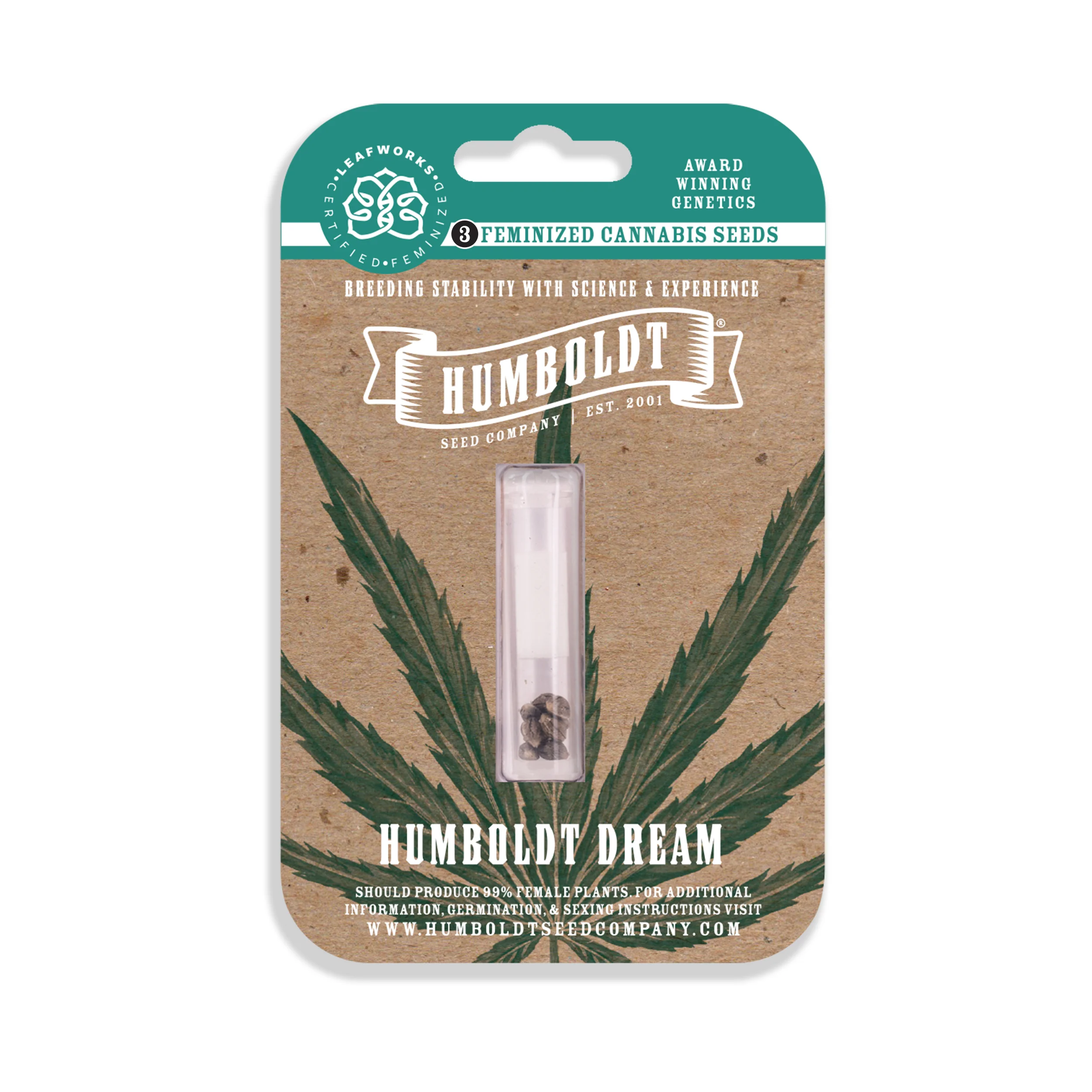 Humboldt Dream 2