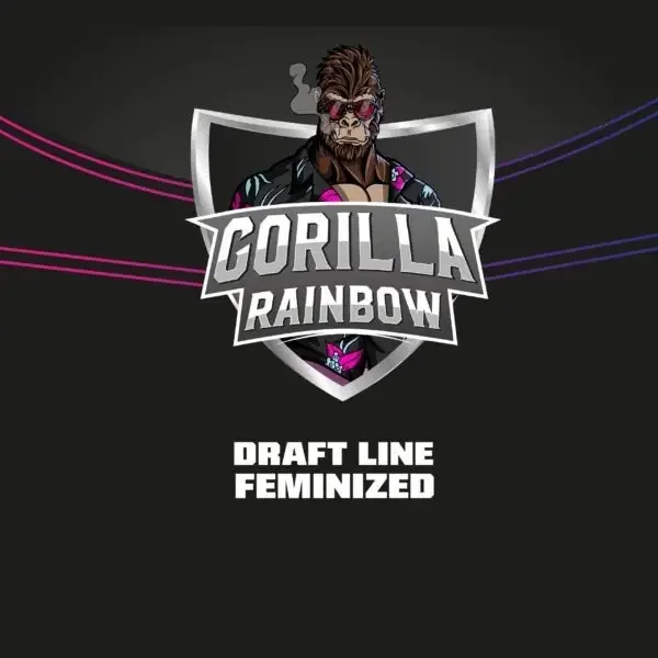 Gorilla Rainbows Fot Bsf 2